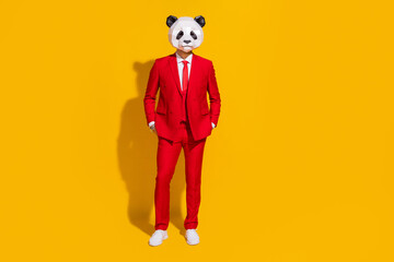 Photo of confident panda guy hands pockets wear mask red suit tie shoes isolated on yellow color background