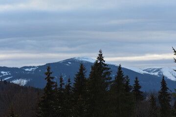 Sticker - snow covered mountains in Ukraine