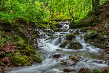 Poster - Waterfall in the misty canyon