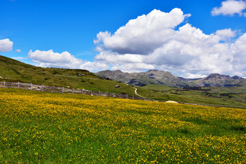 Sticker - alpe di villandro It is the second largest mountain pasture in Europe south tyrol italy