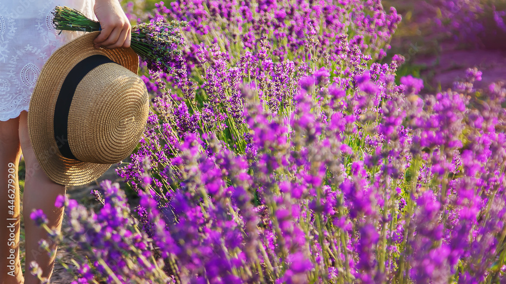 A child in a lavender field. Selective focus. - obrazy, fototapety, plakaty 