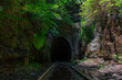 © Pluetsapha - Abandoned railway tunnel in Helensburgh near Sydney NSW, Australia