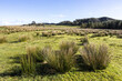 © Stephen - Looking across to Walltown Crags where Hadrians Wall runs along the top of the Whin Sill, Walltown, Northumberland UK