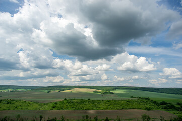 Wall Mural - summer landscape and white clouds over green fields