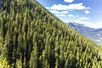 Wall Mural - The view from the Banff gondola going up Sulphur Mountain in the Rocky Mountains, Banff, Alberta, Canada