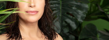 Beauty And Skin Care Concept With A Beautiful Woman With Natural Fresh Skin And Hair Amongst Green Tropical Leaves