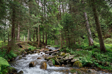 Wall Mural - beautiful mountain waterfall with trees in the background