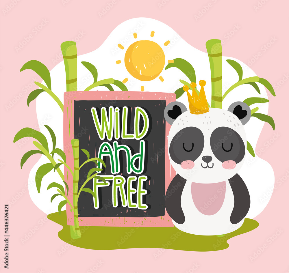 panda wild and free - obrazy, fototapety, plakaty 
