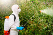 Man in protective workwear spraying glyphosate herbicide on weed