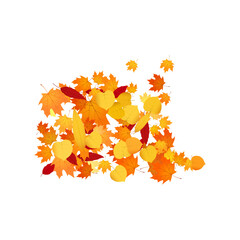 pile of fallen leaves. heap of orange, yellow and red autumn leaves