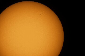 Wall Mural - the surface on the sun disc with sunspots in region 2842, july 2021