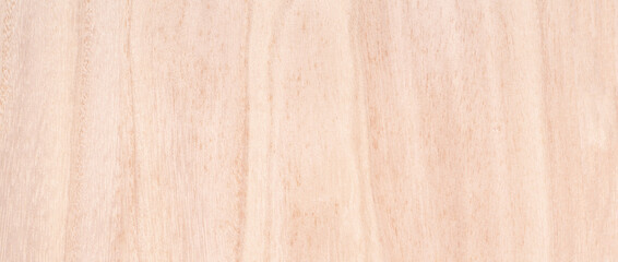 old pine wood texture background for display or product. surface wooden wall vintage for furniture and interior floor