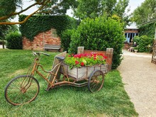 Bicycle In The Garden