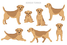 Border Terrier Clipart. Different Coat Colors And Poses Set