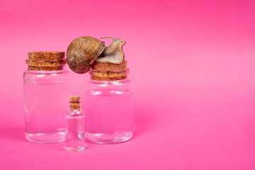 Wall Mural - cosmetics bottles with the addition of snail mucin, mockup natural skin care  beauty on pink background copy space