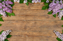 Old Dark Wooden Background With Lilac Flowers. Copy Space