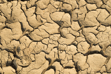 Ground cracks during drought. Global climate change impact on the environment