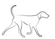 hound dog line art - vector