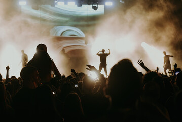 Wall Mural - crowd at concert