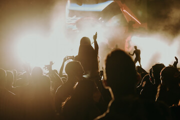 Wall Mural - crowd of people dancing in a concert