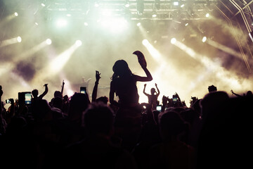 Wall Mural - crowd at concert