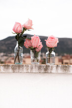 Pink Natural Roses On Vase
