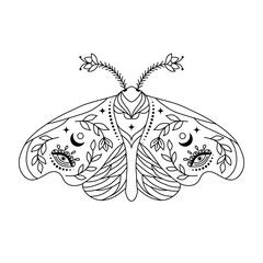 Wall Mural - Moth in doodle style