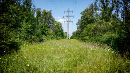 High-voltage power line crossing the green rural countryside of Bavaria, industrial and natural landscape