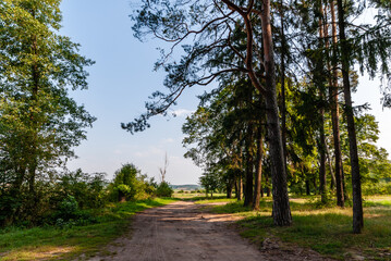 Wall Mural - Pólko pod Supraślem - na biwak, relaks, wędkowanie, Podlasie, Polska