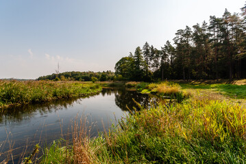 Wall Mural - Pólko pod Supraślem - na biwak, relaks, wędkowanie, Podlasie, Polska