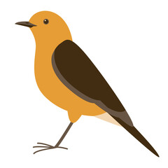 Wall Mural - flycatcher bird, vector illustration, flat style