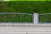 Sidewalk Bordered With Wrought Iron Fence And Green Plants