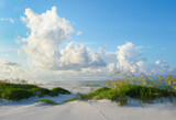 Fototapeta  - Early Morning on a Beautiful Pristine Florida White Sand Beach of the Gulf Coast
