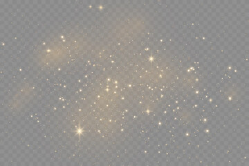Wall Mural - the dust sparks and golden stars shine with special light. vector sparkles on a transparent backgrou