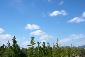  Good weather in the north, cloudy weather
