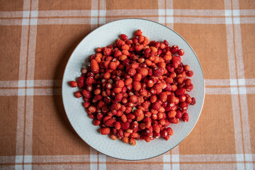 Wall Mural - Wild strawberries in a plate on the kitchen table. Countryside and holidays