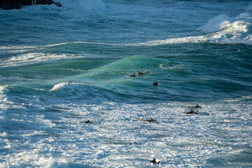 Wall Mural - surfers waiting for a wave in the ocean on a clear winters day