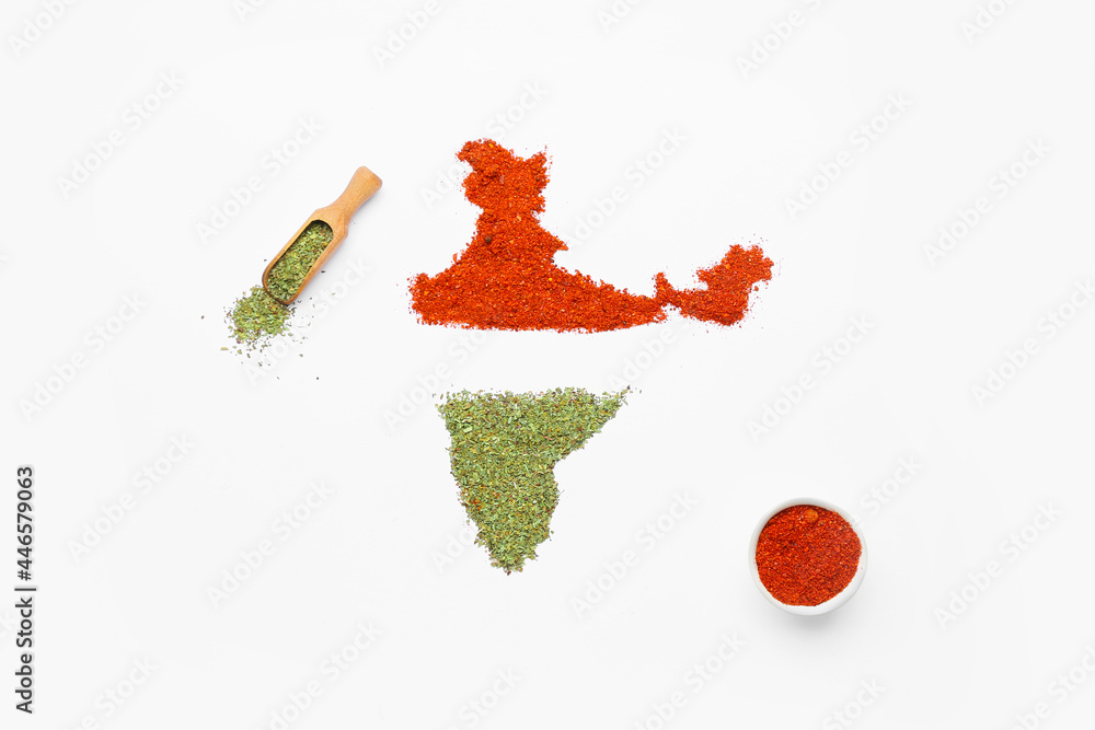 Indian continent made of spices on white background