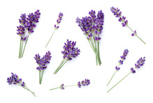 Set Of Lavender Isolated Over White Background