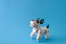 Robot Dog Pet On Light Blue Background