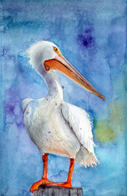 Watercolor Illustration Of A White Giant Pelican With A Pink Beak Standing On A Wooden Pole Against A Blue Background