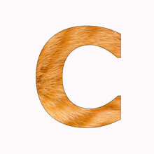 C Letter Uppercase Alphabet - Yellow Cat Fur Background