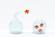 Goldfish Jumping Out Of A Bowl To Join Others. Team Player Concept. 3D Illustration