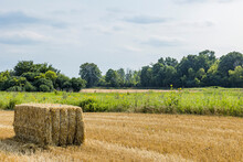 A Large Bale Of Straw In A Harvested Wheat Field With A Buffer Strip Of Prairie And Another Wheat Field In The Distance.