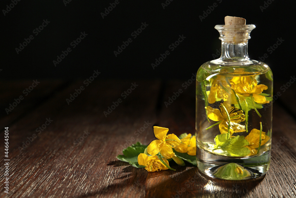 Bottle of celandine tincture and plant on wooden table, space for text - obrazy, fototapety, plakaty 