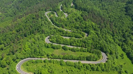 Poster - Aerial drone view of winding road between green fields