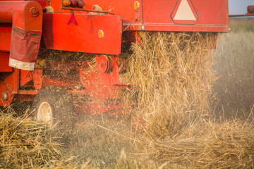 Poster - Harvester working in the field during the summer harvest time.