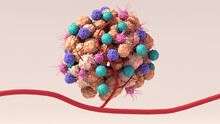 Tumor Microenvironment, Normal Cells, Molecules, And Blood Vessels That Surround And Feed A Tumor Cell. Microenvironment Can Affect How A Tumor Grows And Spreads.