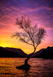 © Cavan Images - beautiful photograph of tree by the river
