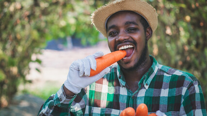 African farmer is  eating and bite delicious carrots in an organic farm